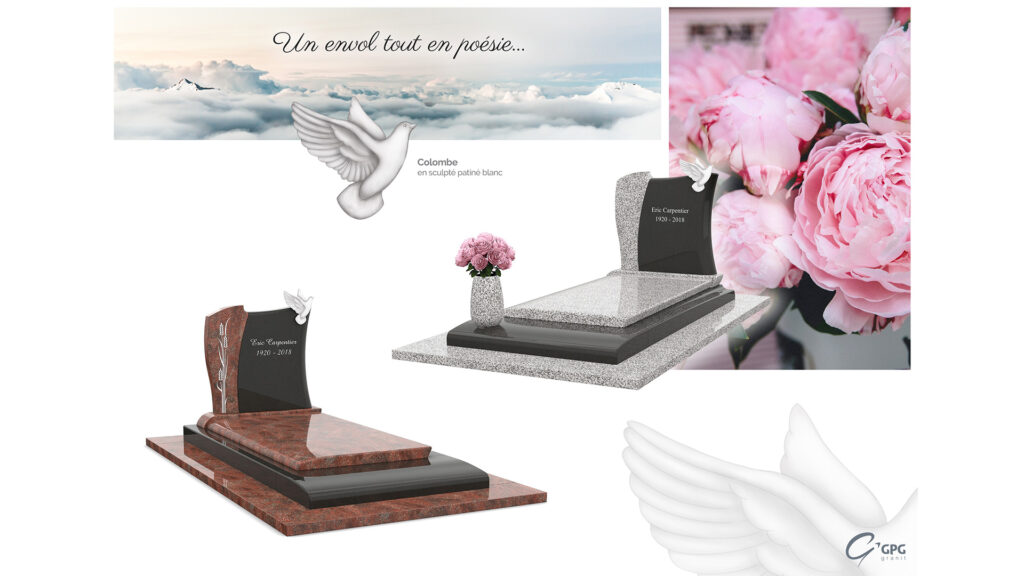 Accueil fpf gpg296n str96 web