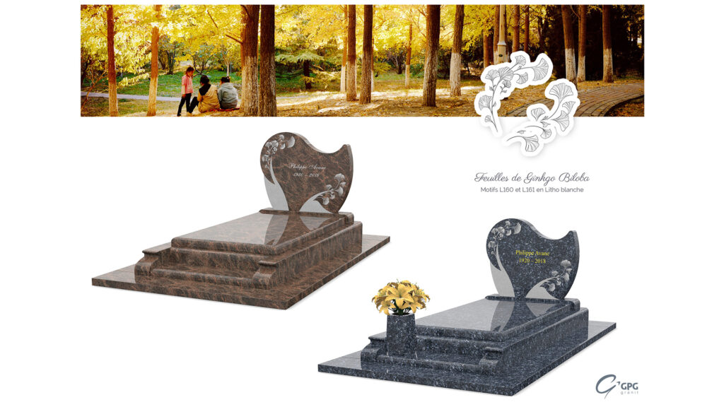 Accueil fpf gpg327 stj27 web