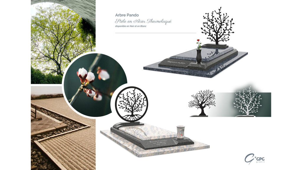 Accueil fpf gpg454i staci6 web